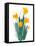 Daffodil Bunch II-Jacob Green-Framed Stretched Canvas