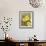 Daffodil Dance - Breeze-Aurora Bell-Framed Giclee Print displayed on a wall