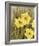 Daffodil Dance - Breeze-Aurora Bell-Framed Giclee Print