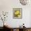 Daffodil Dance - Breeze-Aurora Bell-Framed Giclee Print displayed on a wall