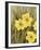 Daffodil Dance - Breeze-Aurora Bell-Framed Giclee Print