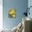 Daffodil Dance - Breeze-Aurora Bell-Mounted Giclee Print displayed on a wall