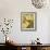 Daffodil Dance - Sway-Aurora Bell-Framed Giclee Print displayed on a wall