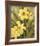 Daffodil Dance - Sway-Aurora Bell-Framed Giclee Print