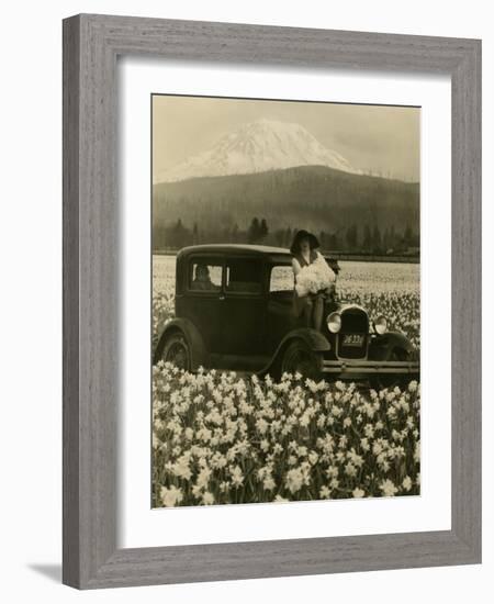 Daffodil Field, Automobile and Mount Rainier, ca. 1929-Marvin Boland-Framed Giclee Print