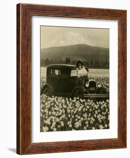 Daffodil Field, Automobile and Mount Rainier, ca. 1929-Marvin Boland-Framed Giclee Print