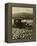 Daffodil Field, Automobile and Mount Rainier, ca. 1929-Marvin Boland-Framed Premier Image Canvas