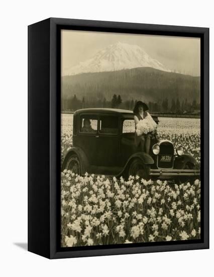 Daffodil Field, Automobile and Mount Rainier, ca. 1929-Marvin Boland-Framed Premier Image Canvas