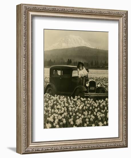 Daffodil Field, Automobile and Mount Rainier, ca. 1929-Marvin Boland-Framed Giclee Print