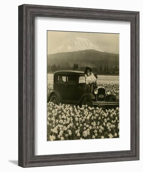 Daffodil Field, Automobile and Mount Rainier, ca. 1929-Marvin Boland-Framed Giclee Print