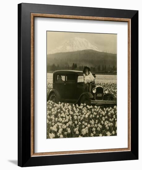 Daffodil Field, Automobile and Mount Rainier, ca. 1929-Marvin Boland-Framed Giclee Print