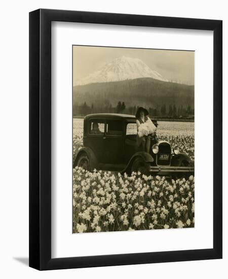 Daffodil Field, Automobile and Mount Rainier, ca. 1929-Marvin Boland-Framed Giclee Print