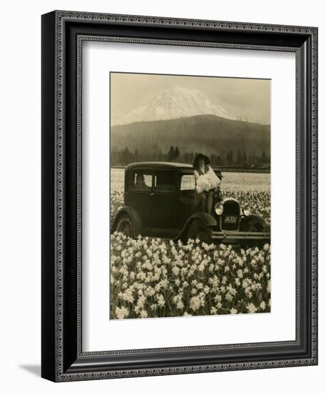 Daffodil Field, Automobile and Mount Rainier, ca. 1929-Marvin Boland-Framed Giclee Print