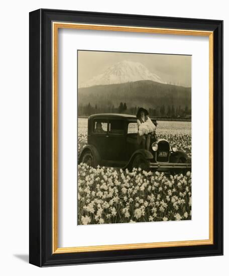 Daffodil Field, Automobile and Mount Rainier, ca. 1929-Marvin Boland-Framed Giclee Print