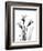 Daffodil Gray-Albert Koetsier-Framed Art Print