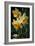 Daffodil I-Vivienne Dupont-Framed Art Print