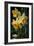 Daffodil I-Vivienne Dupont-Framed Art Print