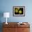 Daffodil in Bloom, New York, New York, USA-Paul Sutton-Framed Photographic Print displayed on a wall