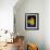 Daffodil in Bloom, New York, New York, USA-Paul Sutton-Framed Photographic Print displayed on a wall