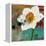 Daffodil Mannerisms-Jennifer Rasmusson-Framed Stretched Canvas