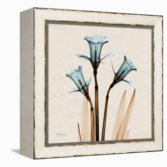 Daffodil Moments-Albert Koetsier-Framed Stretched Canvas