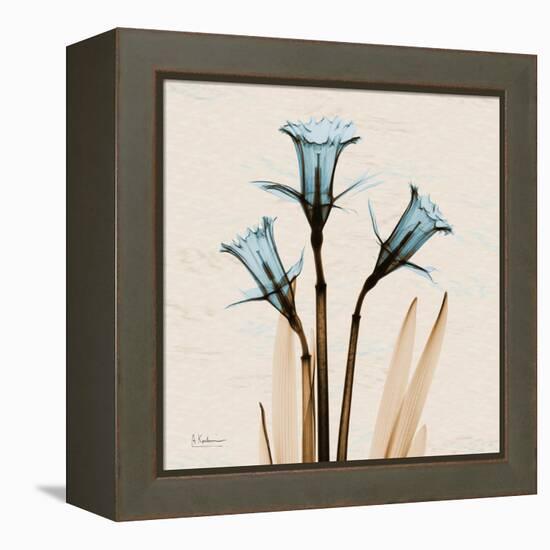 Daffodil Moments-Albert Koetsier-Framed Stretched Canvas