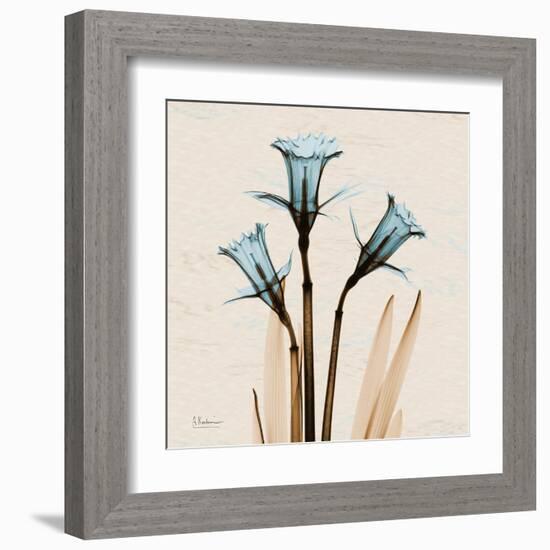 Daffodil Moments-Albert Koetsier-Framed Art Print