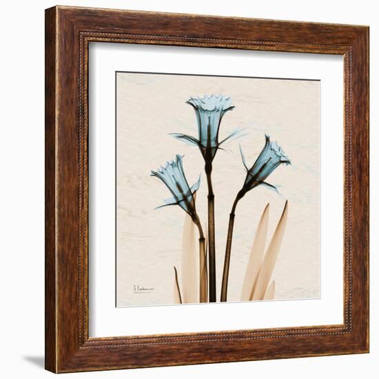 Daffodil Moments-Albert Koetsier-Framed Art Print