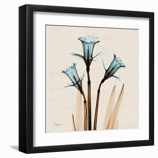 Daffodil Moments-Albert Koetsier-Framed Art Print