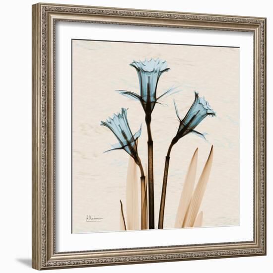 Daffodil Moments-Albert Koetsier-Framed Art Print