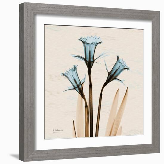 Daffodil Moments-Albert Koetsier-Framed Art Print