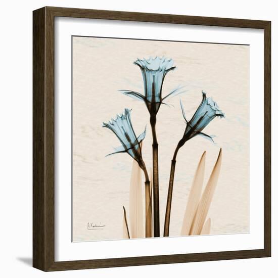 Daffodil Moments-Albert Koetsier-Framed Art Print