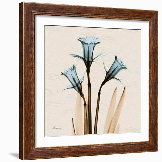 Daffodil Moments-Albert Koetsier-Framed Art Print
