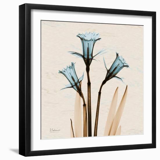 Daffodil Moments-Albert Koetsier-Framed Art Print