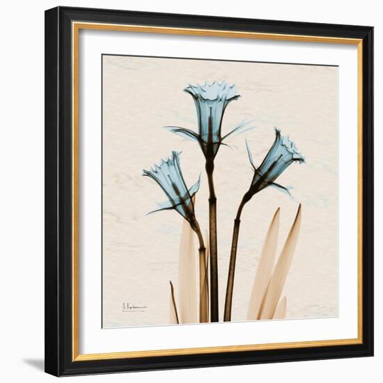 Daffodil Moments-Albert Koetsier-Framed Art Print