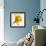 Daffodil (Narcissus Sp.)-Cristina-Framed Premium Photographic Print displayed on a wall
