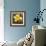 Daffodil (Narcissus Sp.)-Cristina-Framed Premium Photographic Print displayed on a wall