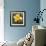 Daffodil (Narcissus Sp.)-Cristina-Framed Premium Photographic Print displayed on a wall