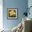 Daffodil (Narcissus Sp.)-Cristina-Framed Premium Photographic Print displayed on a wall