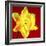 Daffodil (Narcissus Sp.)-Johnny Greig-Framed Premium Photographic Print