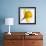 Daffodil (Narcissus Sp.)-Cristina-Framed Photographic Print displayed on a wall