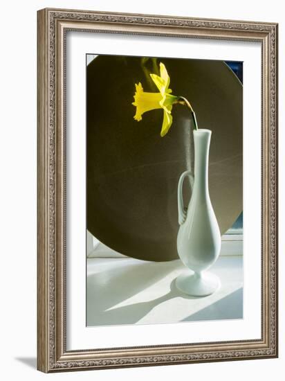 Daffodil Plate-Charles Bowman-Framed Photographic Print