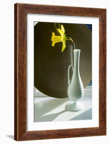 Daffodil Plate-Charles Bowman-Framed Photographic Print