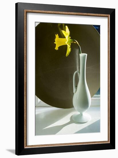 Daffodil Plate-Charles Bowman-Framed Photographic Print