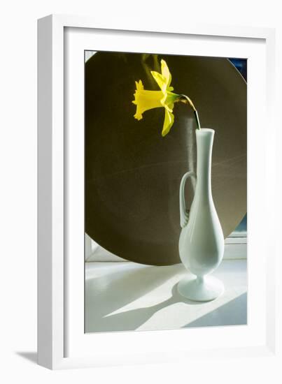 Daffodil Plate-Charles Bowman-Framed Photographic Print