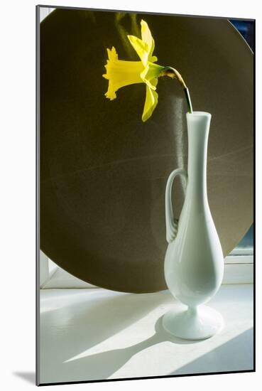 Daffodil Plate-Charles Bowman-Mounted Photographic Print