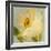 Daffodil Sky II-Lanie Loreth-Framed Art Print