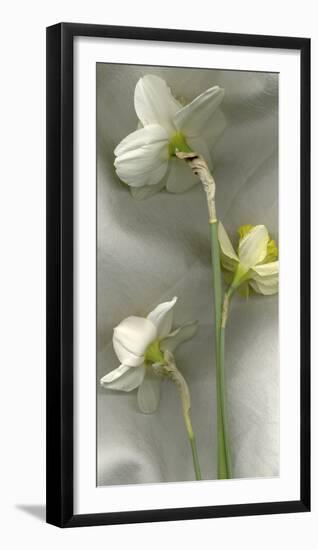 Daffodil Still Life-Anna Miller-Framed Photographic Print