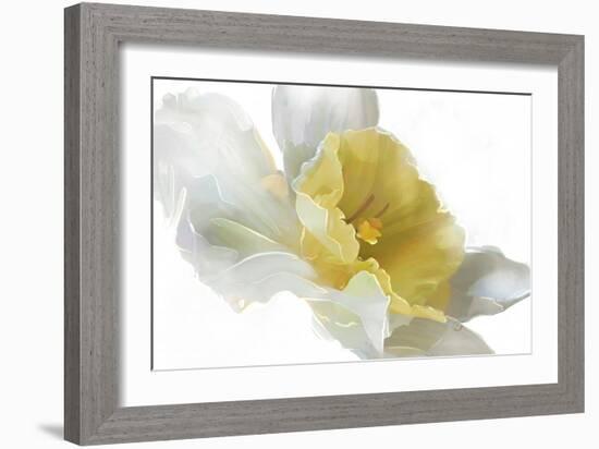 Daffodil-Ruth Day-Framed Giclee Print