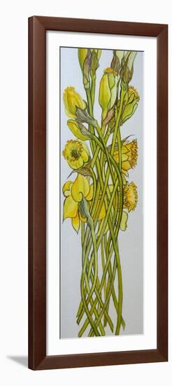 Daffodils,2008,-Joan Thewsey-Framed Giclee Print